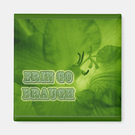 Erin Go Braugh Green Freesia Items Magnet (Vorne)