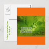 Erin Go Braugh Green Freesia Items Postkarte (Vorne/Hinten)