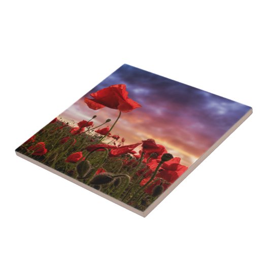 Erinnern an | Feld der Mohnblumen Fliese (Seite)