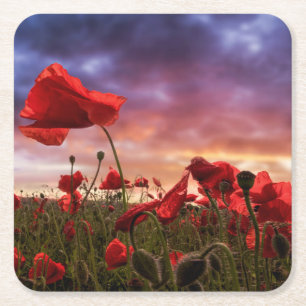 Erinnern an   Feld der Mohnblumen Rechteckiger Pappuntersetzer