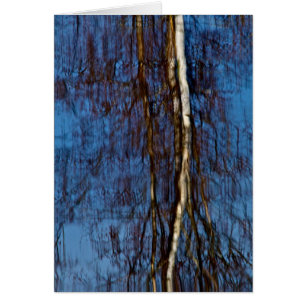 Erinnern an Monet
