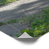 Erinnern an Zitate von Kindercamps Poster (Ecke)