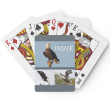 Erinnern Ozzie an Spielkarten