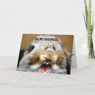 ERINNERN SIE SICH AN ALLE ÜBERNACHTUNGEN ÜBER DEM KARTE