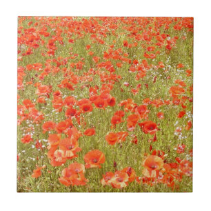 ERINNERN SIE SICH AN MICH FLIESE