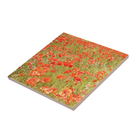 ERINNERN SIE SICH AN MICH FLIESE (Seite)