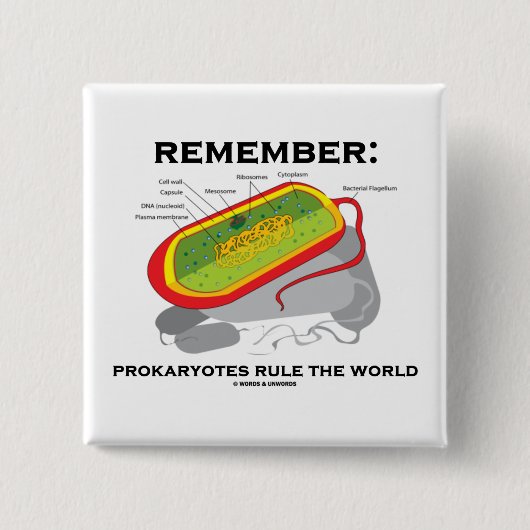 Erinnern Sie sich: Prokaryotes ordnen die Welt an Button (Vorderseite)