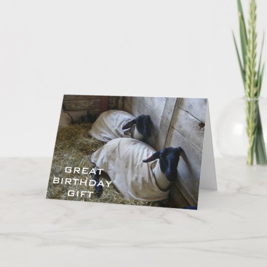 ERINNERN SIE UNS, DASS U EIN JAHR ALTER IST KARTE (Vorderseite)