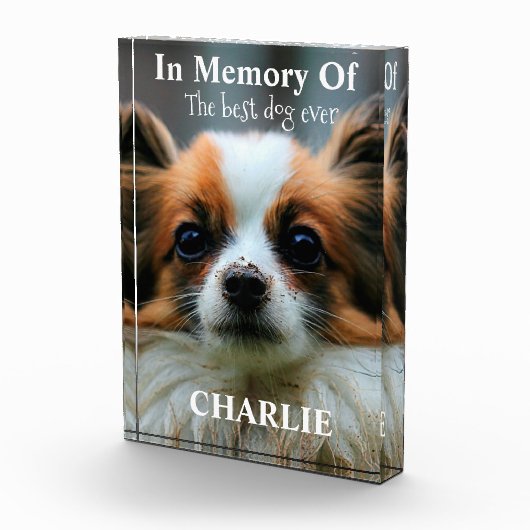 Erinnert an den besten Hund aller Zeiten Fotoblock (Rechts)