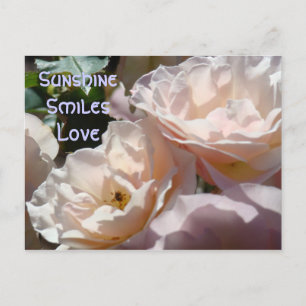 Erinnerte mich an Dich! Postkarte rosa Rosenblüten