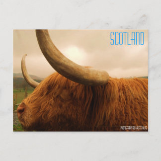 Erinnerung 2 216, SCOTLAND, Fotografie von Kirsten Postkarte