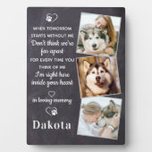 Erinnerung 3 Foto Pet Loss Gabe Hund Memorial Fotoplatte (Vorderseite)