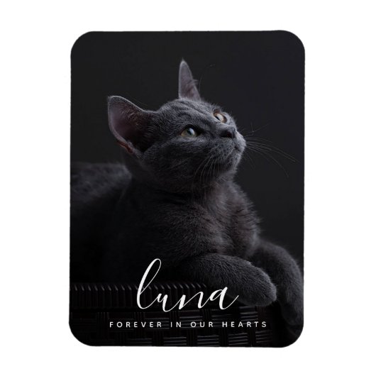 Erinnerung an Beileid-Gedenkfeier Magnet (Vertikal)