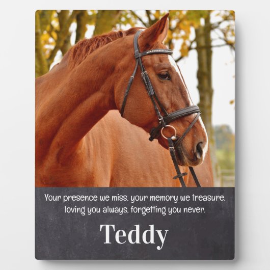 Erinnerung an das Foto an Haustiere Fotoplatte (Vorderseite)