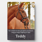 Erinnerung an das Foto an Haustiere Fotoplatte (Vorderseite)