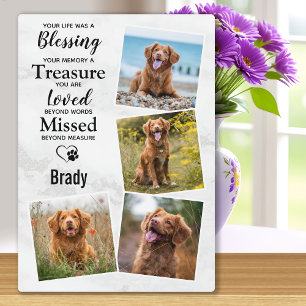 Erinnerung an das Foto des Hauses Achtung des Dog- Fotoplatte