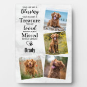 Erinnerung an das Foto des Hauses Achtung des Dog- Fotoplatte (Vorderseite)