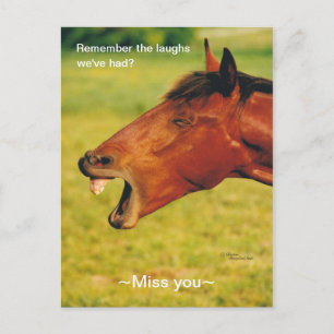 Erinnerung an das Laughs Pferd Postcard Postkarte