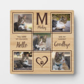 Erinnerung an die Fotocollage für Katzen Fotoplatte (Vorderseite)