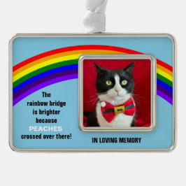 Erinnerung an die Hauskatze Weihnachten Regenbogen Rahmen-Ornament Silber