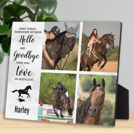 Erinnerung an die Pferdekollektion Fotoplatte