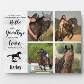 Erinnerung an die Pferdekollektion Fotoplatte (Vorderseite)