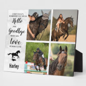 Erinnerung an die Pferdekollektion Fotoplatte (Seite)