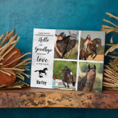 Erinnerung an die Pferdekollektion Fotoplatte (Seite)