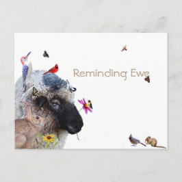 Erinnerung an Ewe: Erinnerungen Ankündigungspostkarte