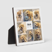 Erinnerung an Haustiere 8 Foto Personalisiert Fotoplatte (Vorderseite)