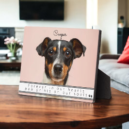 Erinnerung an Haustiere für immer in unserem Herze Fotoplatte