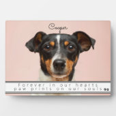 Erinnerung an Haustiere für immer in unserem Herze Fotoplatte (Vorderseite)