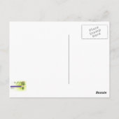 Erinnerung an Istanbul, Soleymaniye Moschee 2 Postkarte (Rückseite)