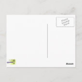 Erinnerung an Istanbul, Soleymaniye-Moschee Postkarte (Rückseite)