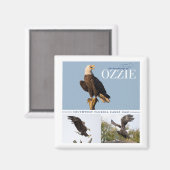 Erinnerung an Ozzie Magnet (Vorderseite/Rückseite)