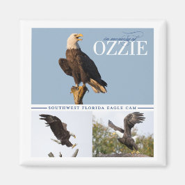 Erinnerung an Ozzie Magnet