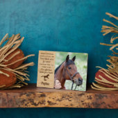 Erinnerung an Pferde Fotoplatte (Seite)