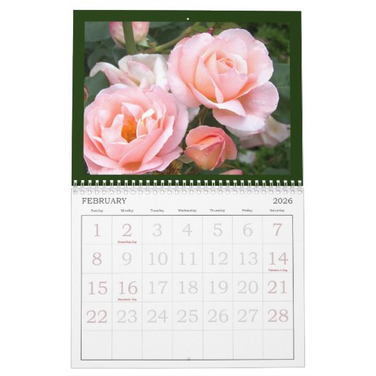 Erinnerung an schöne Rose Calendar レ schöne ダ. Kalender (Feb 2026)