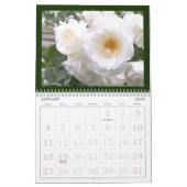 Erinnerung an schöne Rose Calendar レ schöne ダ. Kalender (Jan 2026)