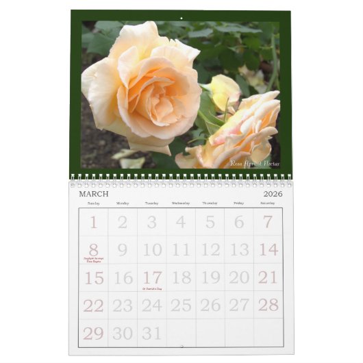 Erinnerung an schöne Rose Calendar レ schöne ダ. Kalender (Mär 2026)