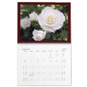 Erinnerung an schöne Rose Calendar レ schöne ダ. Kalender (Jan 2026)