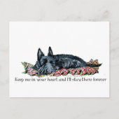 Erinnerung an Scottish Terrier Postkarte (Vorderseite)