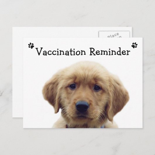 Erinnerung der Impfung Welpe Postkarte (Vorne/Hinten)