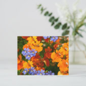 Erinnerung des Frühlings Postkarte (Stehend Vorderseite)