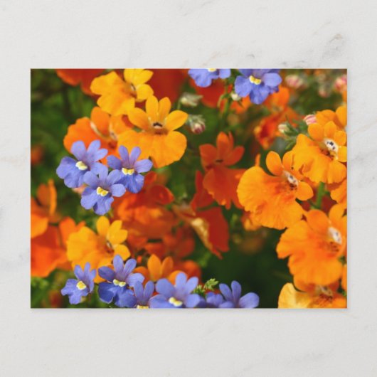 Erinnerung des Frühlings Postkarte (Vorderseite)