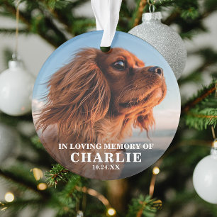 Erinnerung Foto-Pet-Memorial Ornament