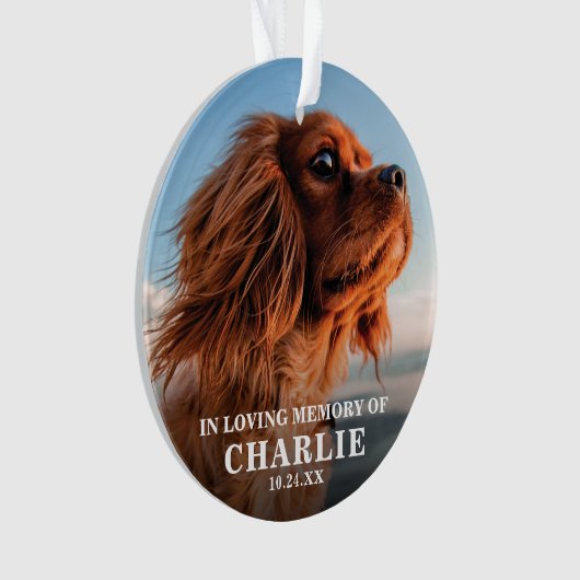 Erinnerung Foto-Pet-Memorial Ornament (Vorderseite)