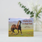 Erinnerung für Veterinärmedizin Postca Postkarte (Stehend Vorderseite)