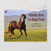 Erinnerung für Veterinärmedizin Postca Postkarte (Vorderseite)