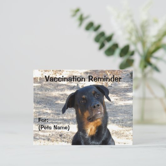 Erinnerung Rottweiler Postkarte (Stehend Vorderseite)